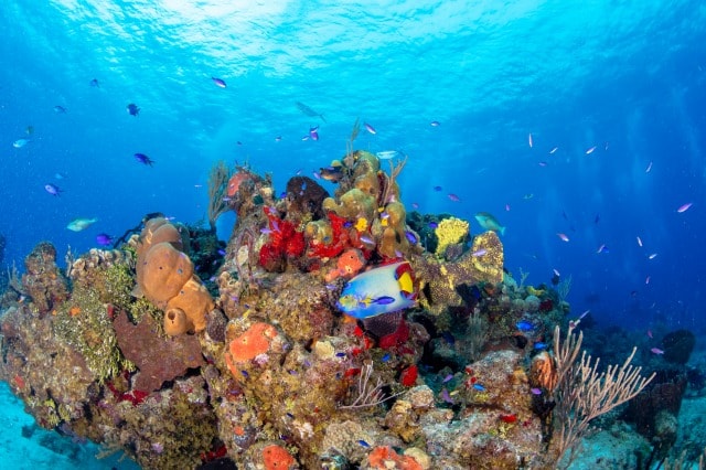 世界第二位の環礁
