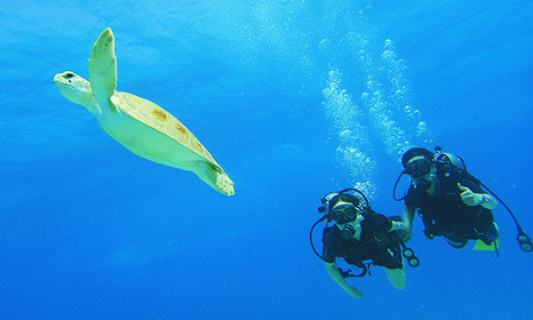 カンクン体験ダイビング