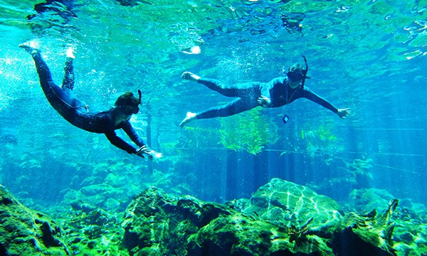 グランセノーテ＆トゥルム遺跡