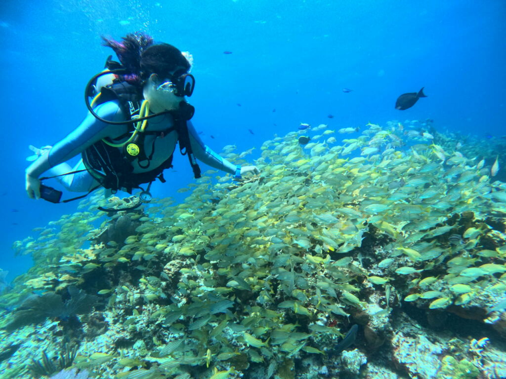 MUSA 水中美術館ファンダイビング